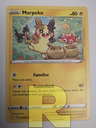 Morpeko destino - ®,